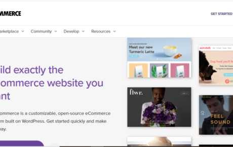 Everything You Need To Know About WooCommerce